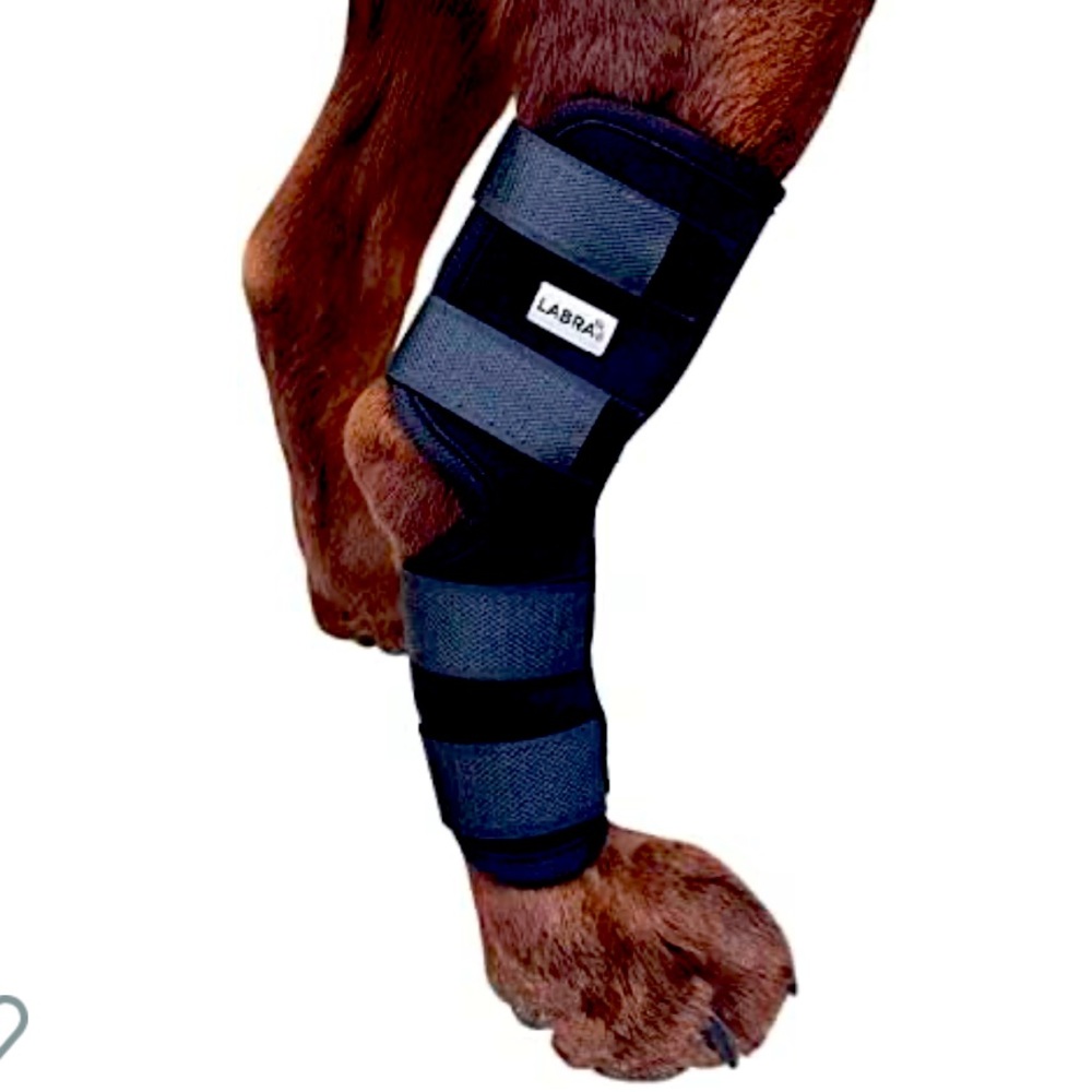 Labra Dog Extra Supportive Canine Rear (Hind) Leg Hock Joint Compression Wrap